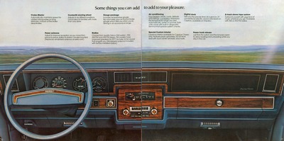1977 Chevrolet Full Size-20-21.jpg
